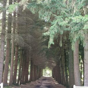 LA LUMIERE